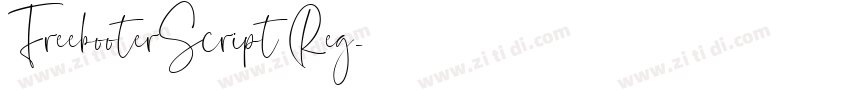 FreebooterScript Reg字体转换